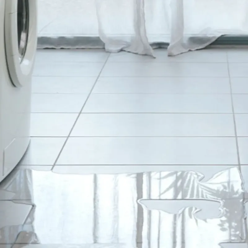 Appliance Leak Cleanup in Lake Elsinore, CA